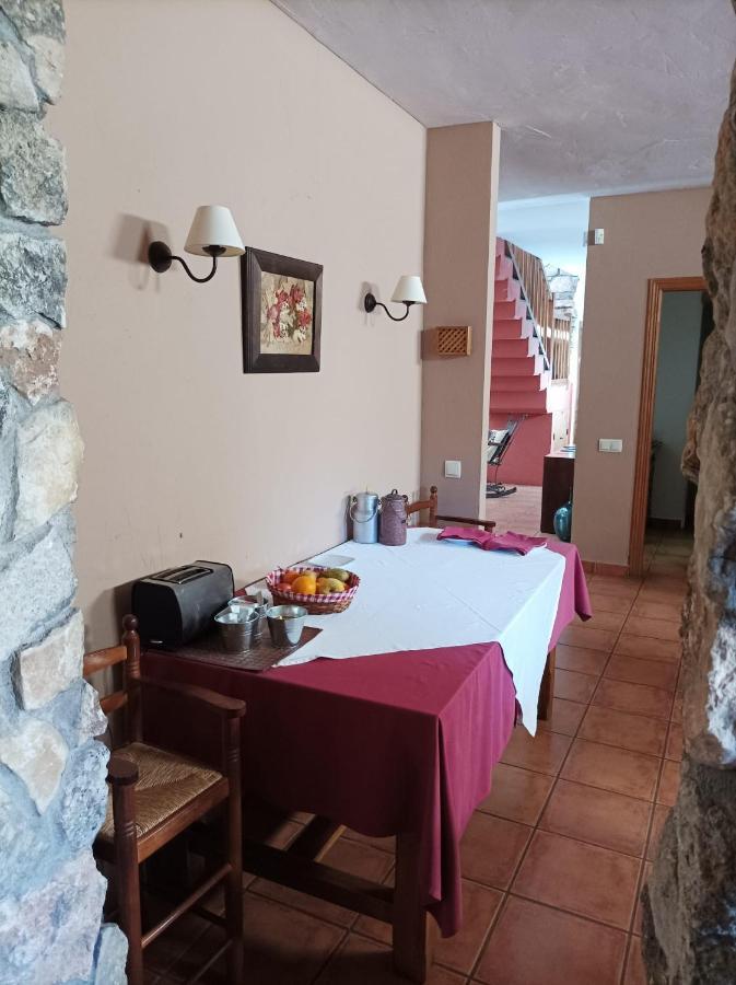 La Casa De Los Gatos Condemios de Abajo Εξωτερικό φωτογραφία